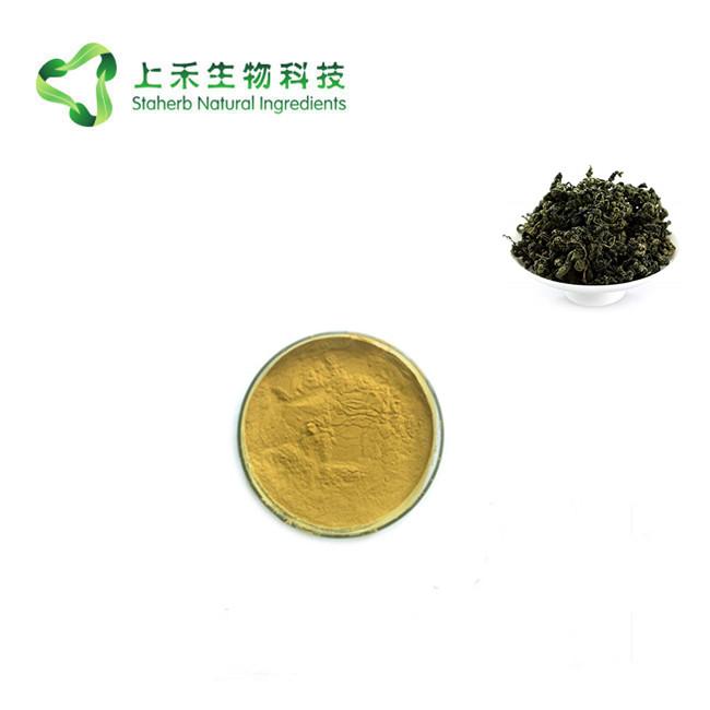 绞股蓝提取物 98% 绞股蓝甙 2