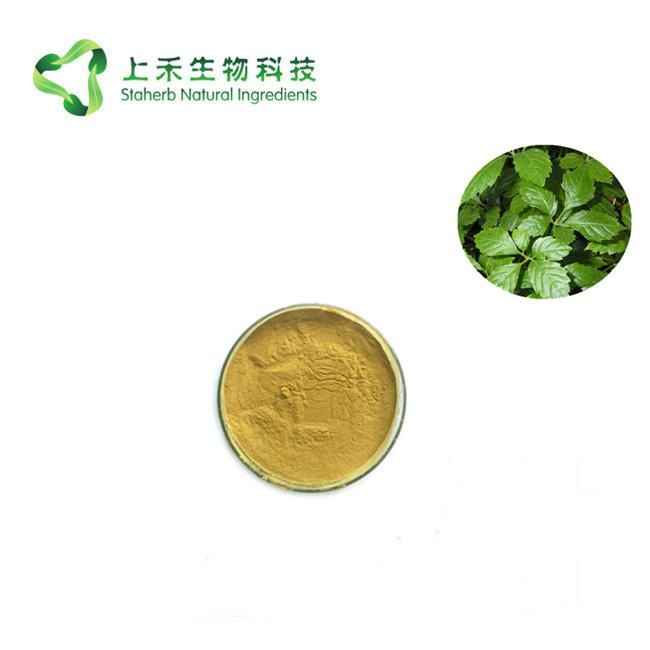 绞股蓝提取物 98% 绞股蓝甙 3