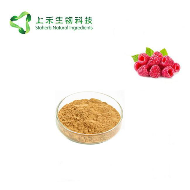 raspberry extract powder raspberry ketone STA91 STAHERB (China