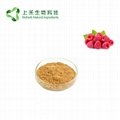 raspberry extract powder raspberry ketone