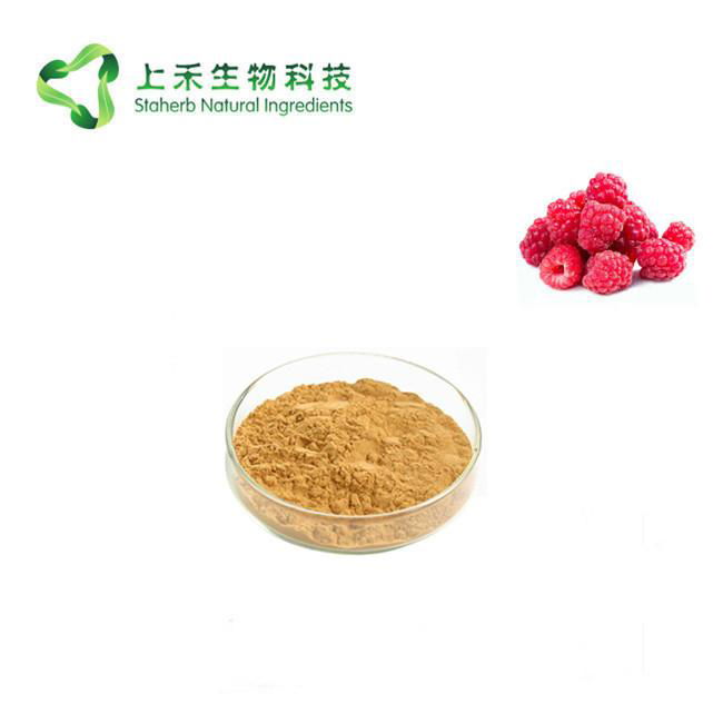 raspberry extract powder raspberry ketone - STA-91 - STAHERB (China ...