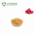 raspberry extract powder raspberry ketone 3