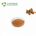 cinnamon bark extract 1