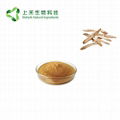 indigowoad root extract Radix isatidis Extract powder