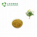 dandelion root extract