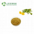 dandelion root extract 2