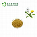 dandelion root extract 3