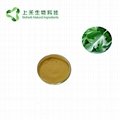 mulberry leaf extract 1-DNJ 2