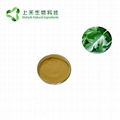 mulberry leaf extract 1-DNJ