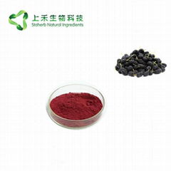 mulberry fruit juice powder