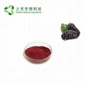 mulberry fruit juice powder