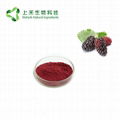 mulberry fruit juice powder 3