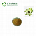 snow lotus extract