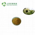 snow lotus extract