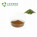 seaweed kelp extract