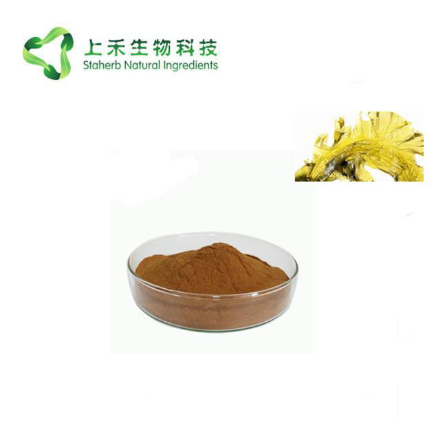 seaweed kelp extract 2