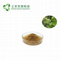 Tripterygium wilfordii Extract 1