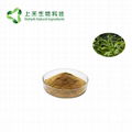 Tripterygium wilfordii Extract 2