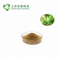 Tripterygium wilfordii Extract 3