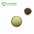 Camptotheca Seed Extract Hydroxycamptothecin 1