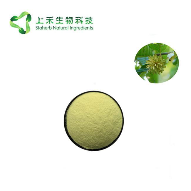 Camptotheca Seed Extract Hydroxycamptothecin 2