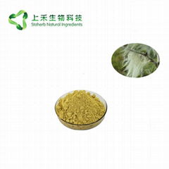 Usnea Extract Powder Usnic Acid 98%