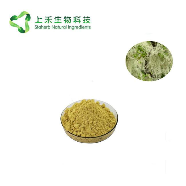 Usnea Extract Powder Usnic Acid 98% 2