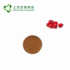 hawthorn fruit extract powder
