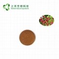 hawthorn fruit extract powder 2