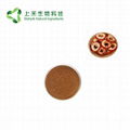 hawthorn fruit extract powder