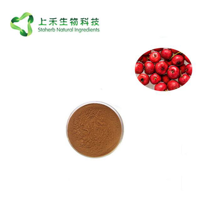 hawthorn fruit extract powder 4