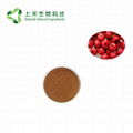 hawthorn fruit extract powder