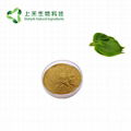 perilla leaf extract powder 2