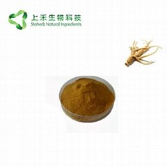 Siberian Ginseng Extract Eleutheroside Powder 2%