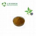 Siberian Ginseng Extract Eleutheroside Powder 2% 3