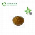 Siberian Ginseng Extract Eleutheroside Powder