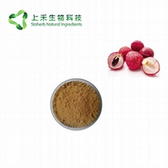 lychee seed extract powder