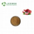 lychee seed extract powder