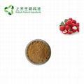 lychee seed extract powder 3