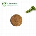 Celery seed extract powder