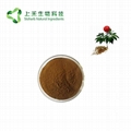 sanchi extract powder radix Notoginseng extract