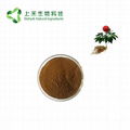 sanchi extract powder radix Notoginseng extract