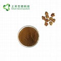 sanchi extract powder radix Notoginseng extract