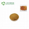 red ginseng root extract
