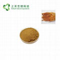 red ginseng root extract 2