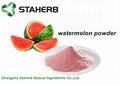 watermelon fruit powder