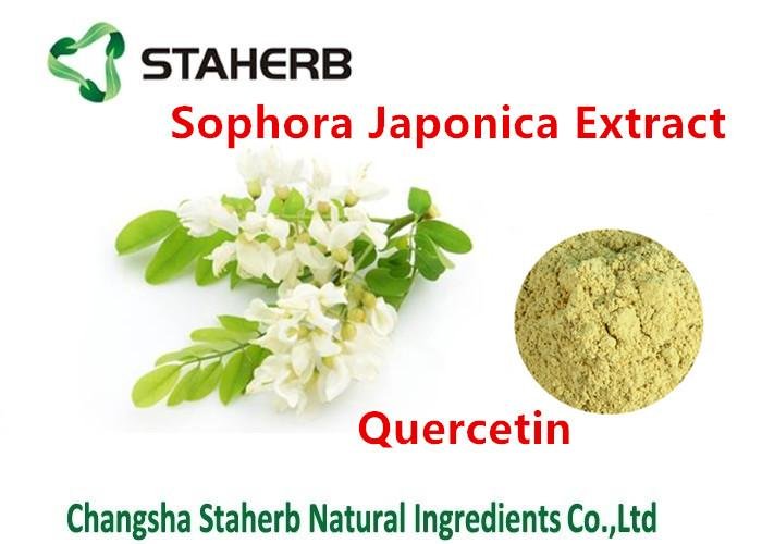 Sophora Japonica extract Quercetin