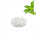 Stevia Leaf Extract Food Sweeteners 98%