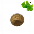 ginkgo biloba extract supplier