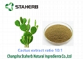 100% Natural Cactus plant Extract powder